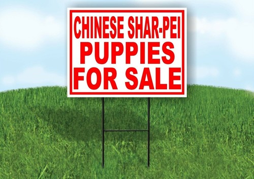Chinese shar pei puppies - puppies, for