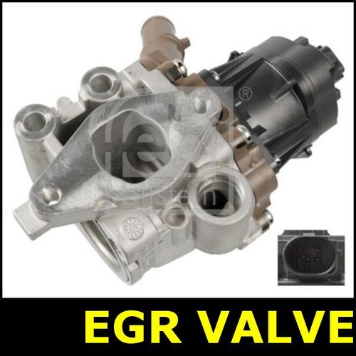 Egr valve fits - fits, daily