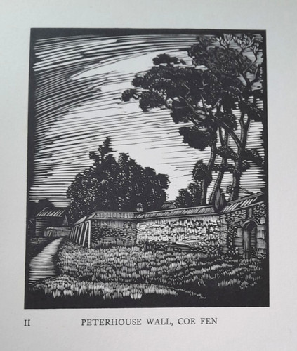 Peterhouse wall coe fen - coe,