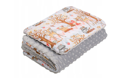 Baby blanket plus flat pillow - blanket,