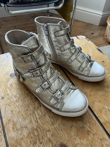 Retired ash virgin champagne - ash,