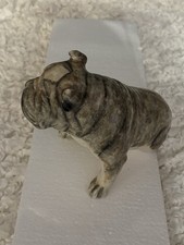 Grey Brindle And White Under
