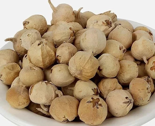Natural panner dodi indian - natural,