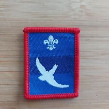 Current UK Scouting Scout