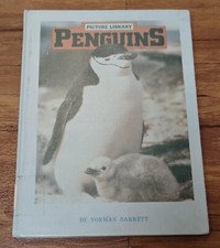 Penguins- PICTURE LIBRARY - by