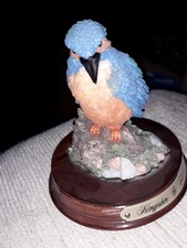 Vintage Kingfisher by Leonardo