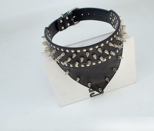 Sharp spiked rivet - sharp, dog