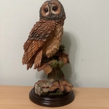 COUNTRY ARTISTS OWL CA1234