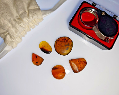 Genuine burmese amber 5x - burmese,