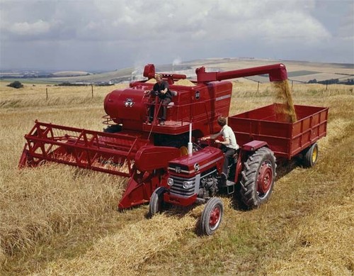 Vintage massey ferguson - vintage,