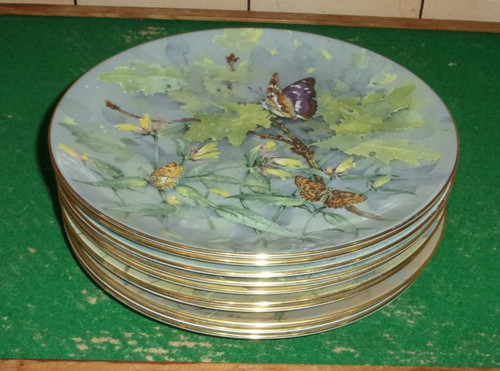 Gordon beningfield wedgwood - beningfield,