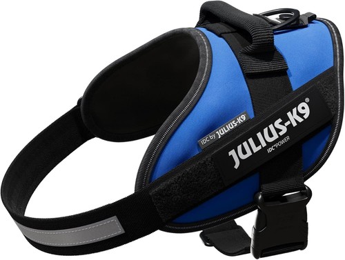 Julius dog harness - dog, blue