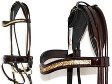 FSS SHINING Curve GOLD CRYSTAL