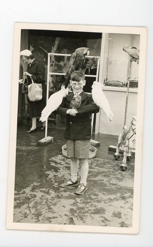 Vintage photo boy covered - photo, in