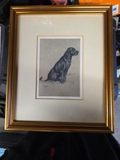 Cecil Aldin Labrador Retriever