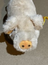 Steiff  Mini pig, Suggy, button in ear & fabric tag attached. 12cm