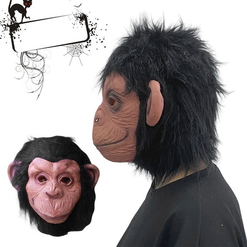 Halloween fancy dress - halloween,