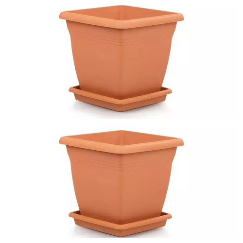 Pack extra large - of, 2