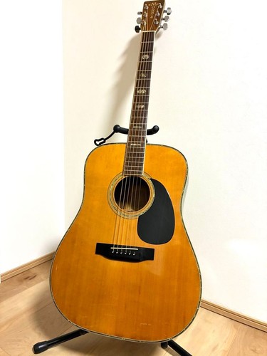 Morris series 50 - w-50, acoustic