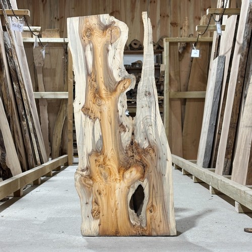 Yew plank board - yew, waney