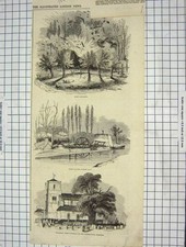 Original Old Antique Print