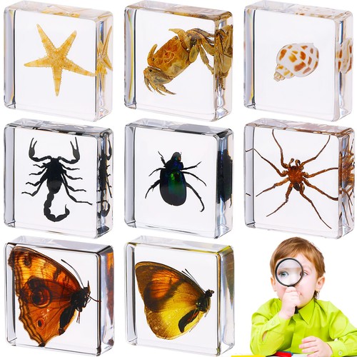 Macarrie pcs insects in - pcs,