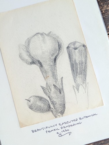 Vtg 1930 original art - original,