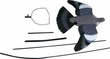 Ultimate flying pigeon - pigeon, decoy