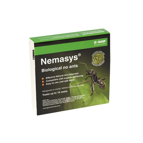 Ant nematodes nests - 16,