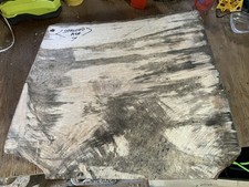 Large Spalted Ash Bowl Blank