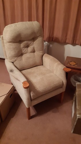 Cintique armchair gold fabric - armchair,