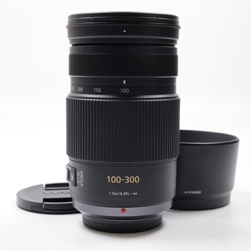 Panasonic lumix vario - g,