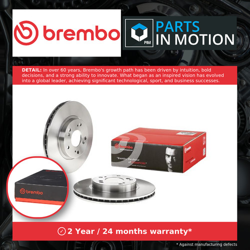 Brake discs pair - 2x,