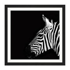 Zebra Head Animal Black White