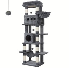 170cm Maine Coon Cat