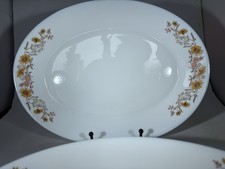 Vintage Milk Glass Oval Steak