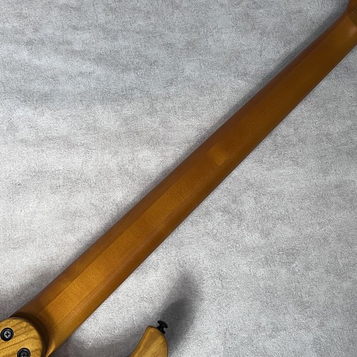 Schecter riot bass guitar - schecter, 5
