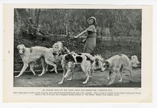 BORZOI ORIGINAL 1937 DOG PRINT YOUNG LADY AND A GROUP OF 6 DOGS
