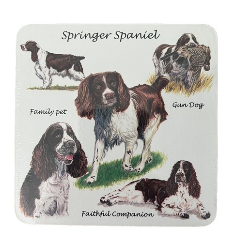 Springer spaniel dogs drinks - springer,