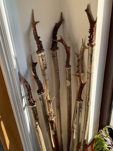 Selection deer antler - selection,
