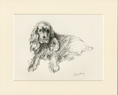 Cocker spaniel vintage - cocker,