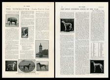 GREYHOUND Waterloo Cup