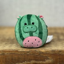Squishmallow Micromallow Xeoaaover Hippo Watermelon Damaris NWOT 2"