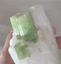 Green Tourmaline In White
