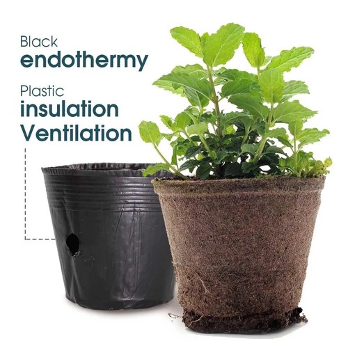 Poly plant pots grow bag - plant,