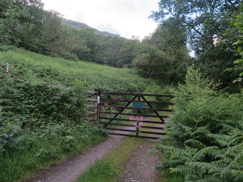 Photo 6x4 gate - photo, fence