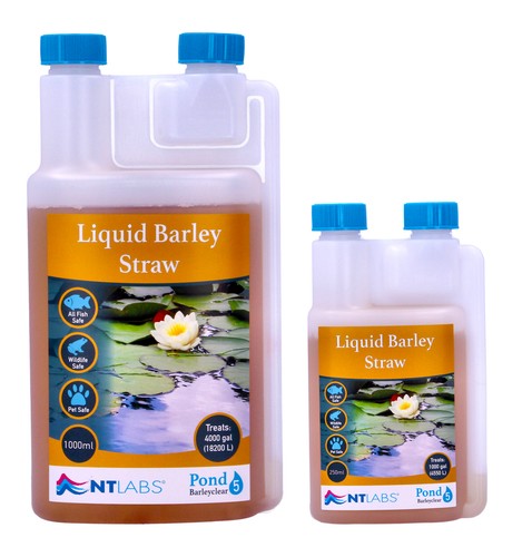 Labs barleyclear liquid - nt,