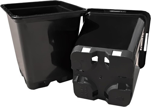 Heavy duty square plant - plant, pot