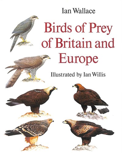 Birds prey britain - in,