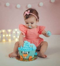 Peach Dress Smash Cake Outfit